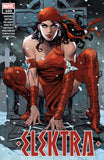 Elektra 100 (2022) Dan Panosian Cover A 1st Print Ann Nocenti Marvel